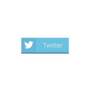 Flat 3D Twitter button with CSS3 box and text shadows